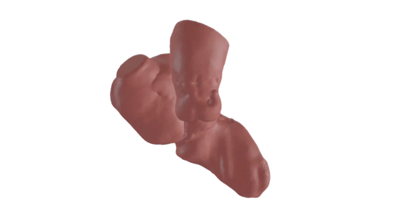 3D simulation of a beating heart showcasing DASI's technology